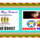 brain power supplements